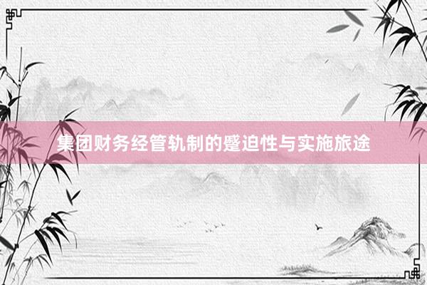 集团财务经管轨制的蹙迫性与实施旅途